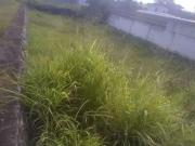 Terreno comercial para Venda em Salvador/BA Pernambués