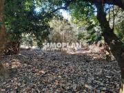 Terreno comercial para Venda em Sumaré/SP Jardim Monte Santo