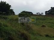 Terreno comercial para Venda em Suzano/SP Vila Cabrera