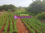 Terreno comercial para Venda em Tatuí/SP Enxovia