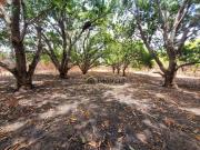 Terreno comercial para Venda em Teresina/PI Jardim Europa