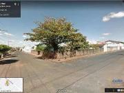 Terreno comercial para Venda em Uberaba/MG Santa Maria