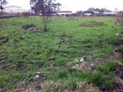 Terreno Comercial para venda no Bairro Capuava em Mauá SP