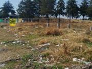 Terreno comercial San Luis Mextepec