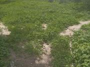 Terreno Comercial / Usos Mixtos