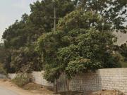 DEPARTAMENTO FRENTE A PARQUE