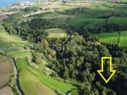 Terreno composto por mata com 13420m2