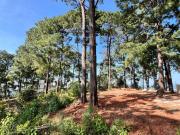 TERRENO COMUNAL EN VENTA, AVANDARO