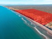 Terreno con 1km de frente de playa, en venta, La Paz,...