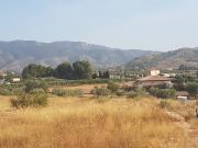 Terreno con agua Hondon de las Nieves Alicante España