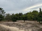 TERRENO CON AGUA Y RIEGO