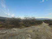 Terreno con alto potencial de plusval?a cerca del Parque...