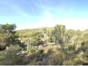 TERRENO CON BUENA ORIENTACIÓN Y VISTAS EN MAS MESTRE