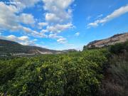 Terreno con Casa de Aperos