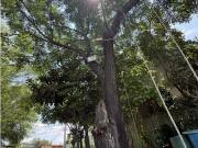 TERRENO CON CASA EN GUADALUPE A 2 KM DE ELOY CAVAZOS