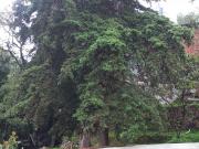 Terreno con casa en Volcanes ideal para Desarrollo...