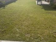 TERRENO CON CONSTRUCCION TIPO CAMPESTRE