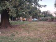 Terreno con escritura en Carrizales Clarke Oportunidad!...