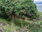Terreno con impactante vista al Lago de Chapala