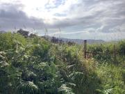 Terreno con proyecto de ejecución en camino Galeota, Beade