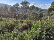 ? Terreno con proyecto y licencia aprobada