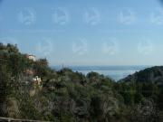 Terreno con rustico in vendita a Alassio