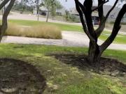 TERRENO CON UBICACI?N PRIVILEGIADA, EL CAMPANARIO