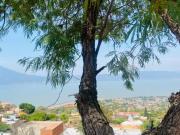 TERRENO CON VISTA AL LAGO DE CHAPALA EN SAN JUAN COSALÁ....