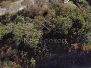 TERRENO CON VISTA AL LAGO Y BOSQUE, EN EL SANTUARIO