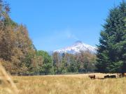 Terreno con vista al volcán