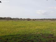 Terreno con Vivienda, gran Oportunidad en Montánchez:...
