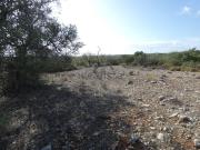 Terreno, Conceição e Estoi