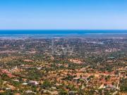 Terreno, Conceição e Estoi