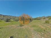 Terreno, Conceição e Estoi