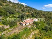 Terreno, Conceição e Estoi