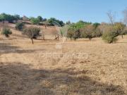 Terreno, Conceição e Estoi, Faro | BPI Expresso Imobiliário