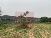 Terreno, Conceição e Estoi, Faro | BPI Expresso Imobiliário