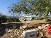 Terreno, Conceição e Estoi, Faro | BPI Expresso Imobiliário