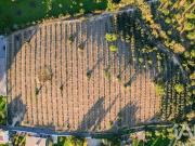 Terreno, Conceição e Estoi, Faro | BPI Expresso Imobiliário