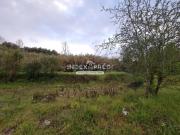 Terreno Rustico Condeixa a Velha