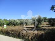 Terreno, Condeixa A Velha e Condeixa A Nova, Condeixa a...