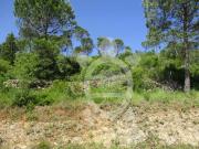 Terreno, Condeixa A Velha e Condeixa A Nova, Condeixa a...