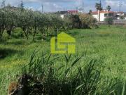 Terreno, Condeixa A Velha e Condeixa A Nova, Condeixa a...