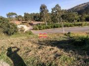 Terreno Condomínio Jardim das Paineiras