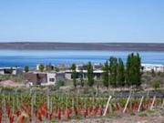 Terreno Confluencia