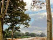 Terreno Congregacion El Grande