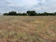 Terreno, Conil de la Frontera