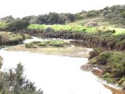Terreno constituído por 77480 m² com água do canal e 2 noras