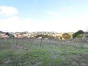 Terreno Construção Besteiros, Paredes