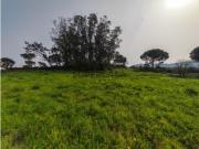 Terreno construção moradias Caldas da Rainha